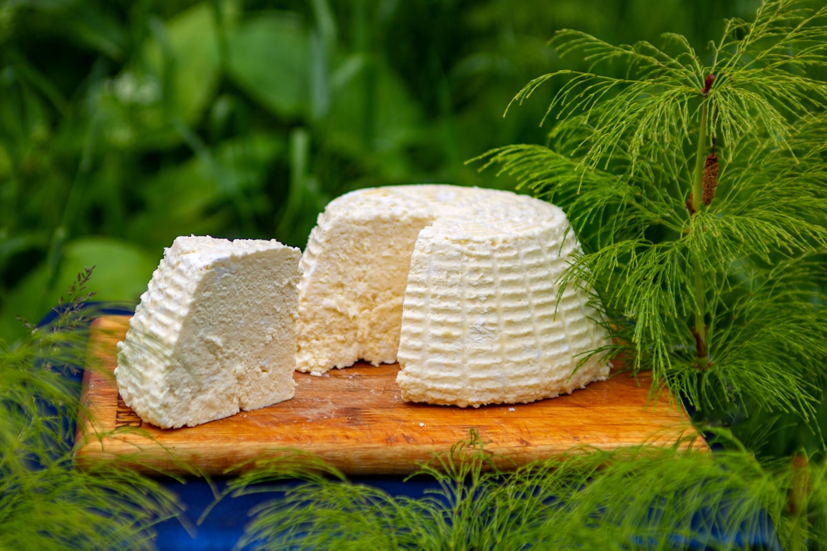 Dairy products rich in calcium